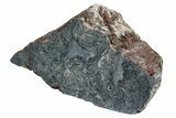 Polished Stromatolite (Alcheringa) Section - Billion Years #239938-1
